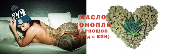 стаф Медногорск
