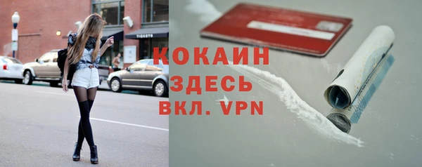 стаф Медногорск