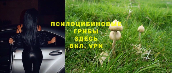 эйфоретик Медвежьегорск