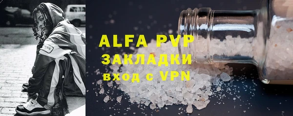 стаф Медногорск