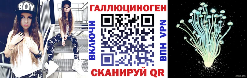 Галлюциногенные грибы Psilocybe  купить наркотик  Карабаш 